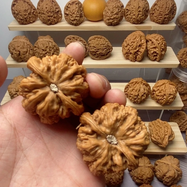 把件核桃成*ঞ44尺全是粗筋一物一图
