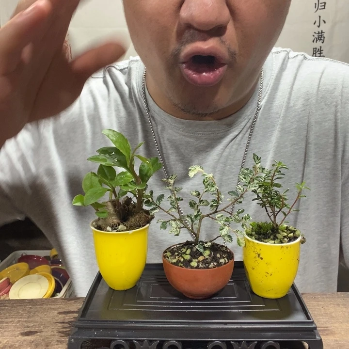张****)一物一拍所见即所得164