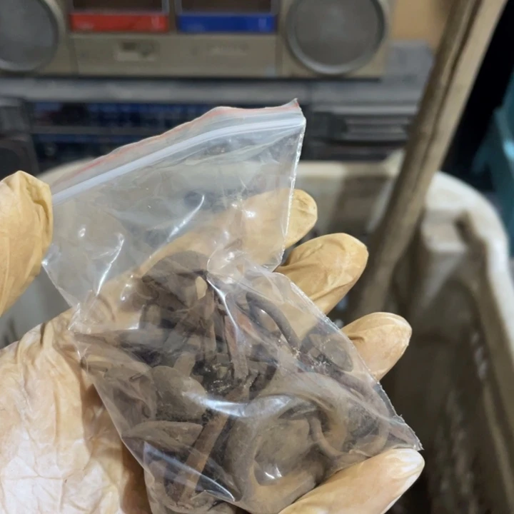 养***心瓷片孤品微瑕看好下单