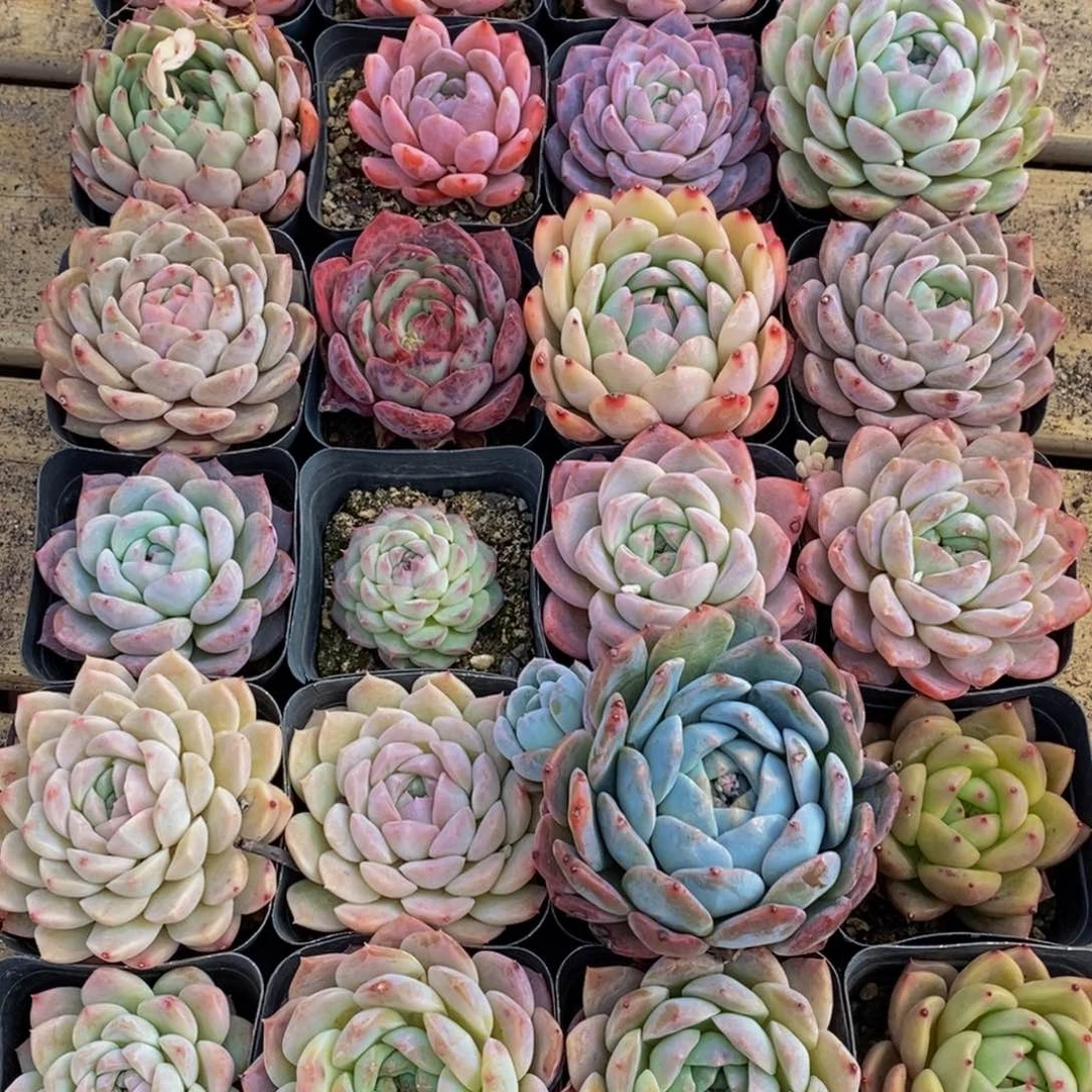 400的人生态度是一种