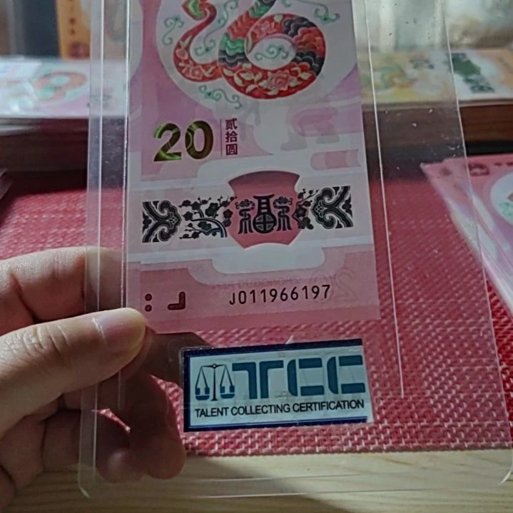 塑料小蛇钞金钩11966197单张