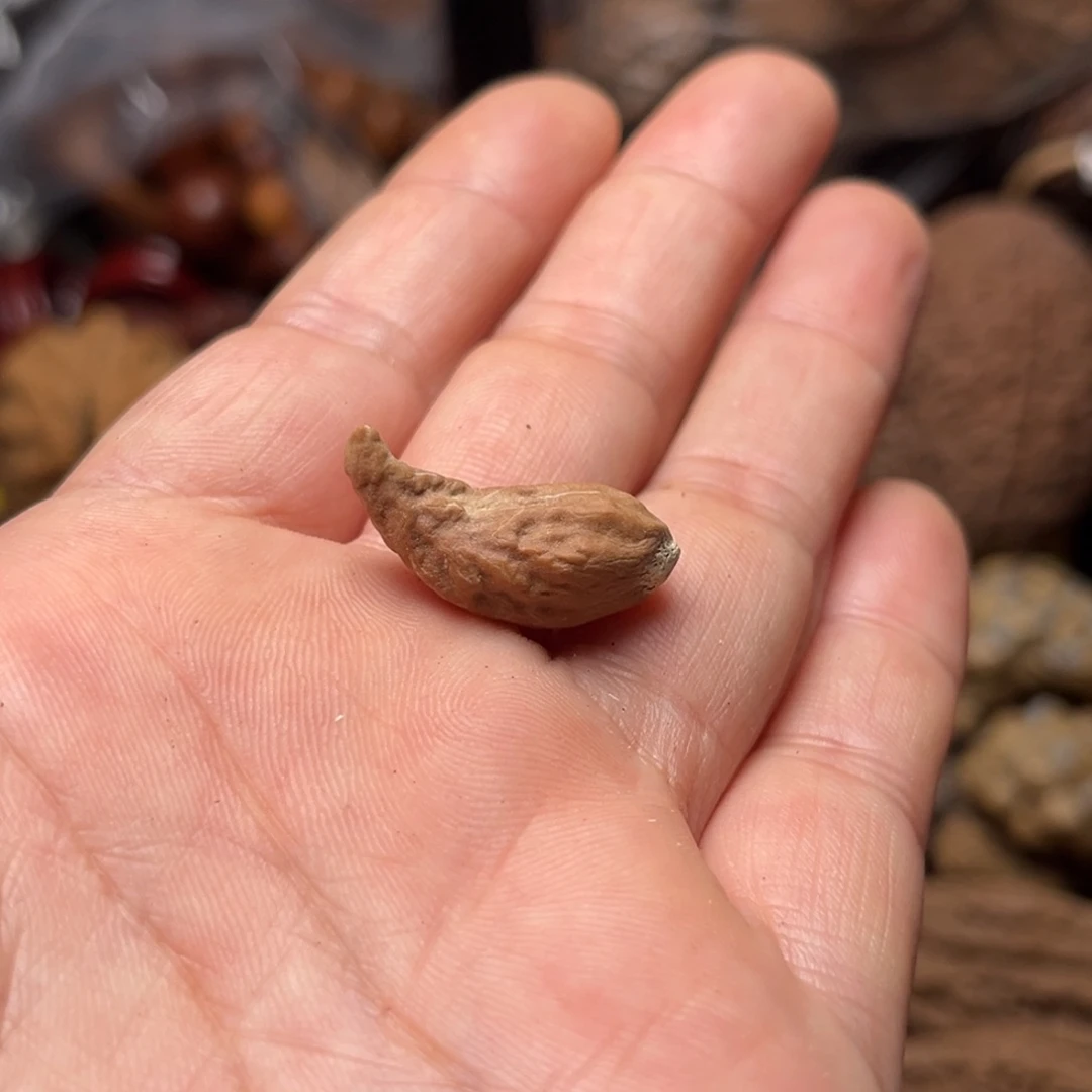 手串文玩核桃核桃7