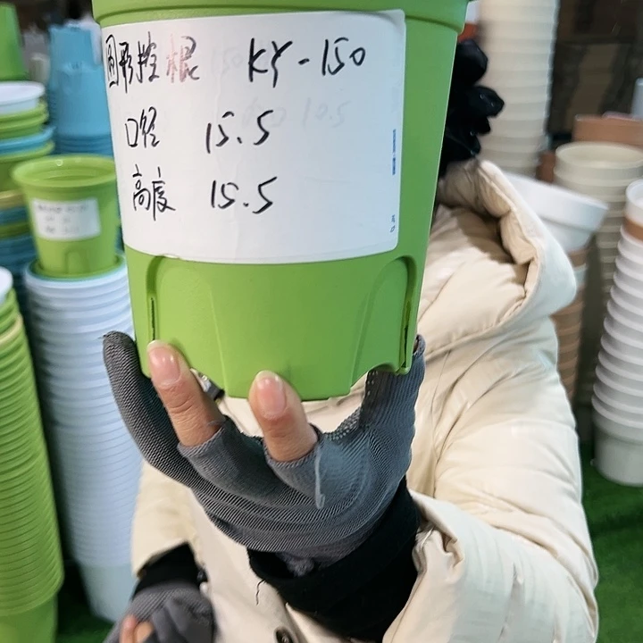 正品圆控口15高15果绿无托10只