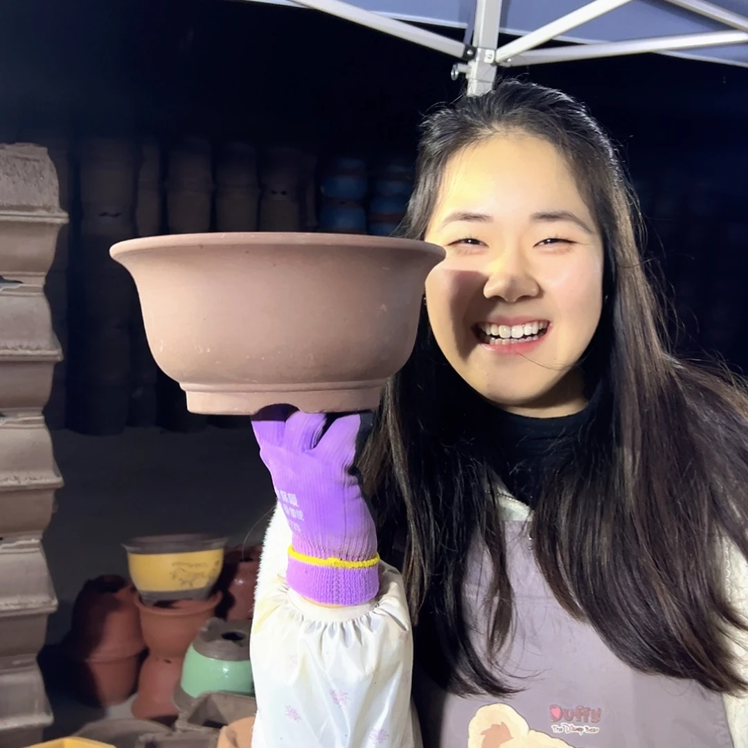 21查林小碗花盆花盆花盆