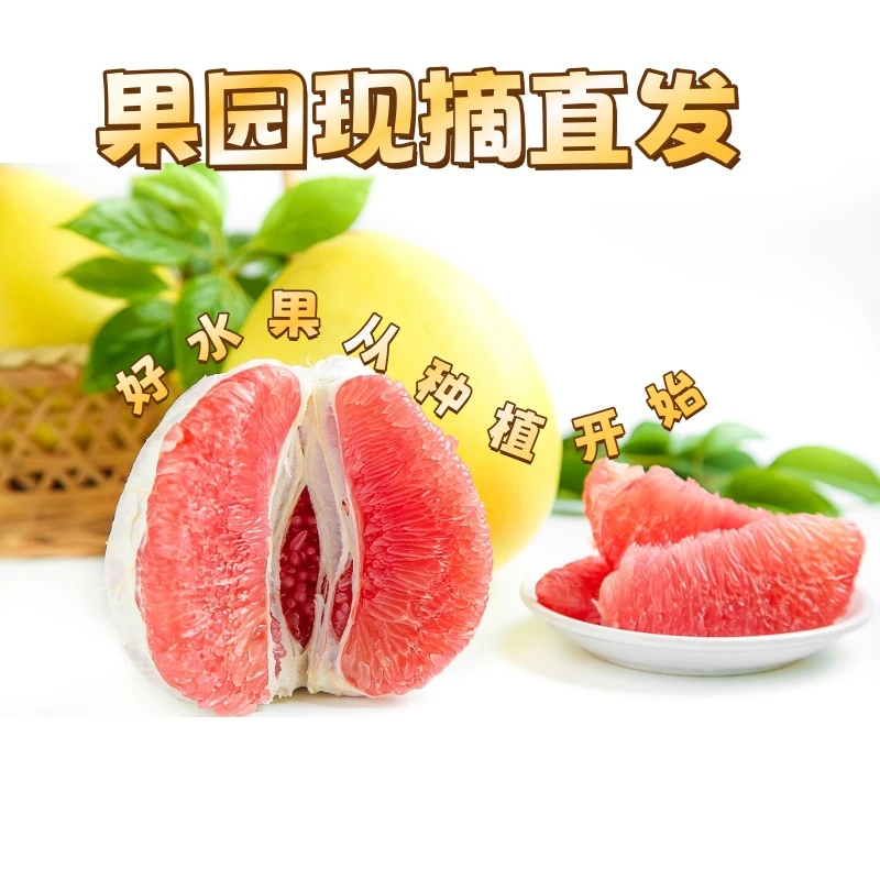 熬夜党必备！红心蜜柚补充维生素元气满满比喝奶茶健康多了柚子