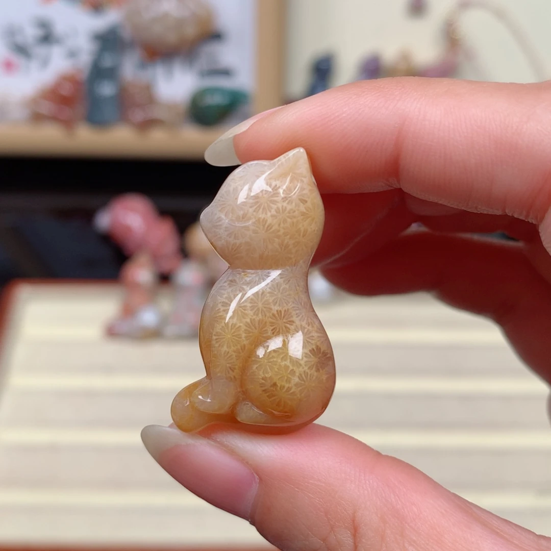 硅化玉珊瑚玉未镶嵌