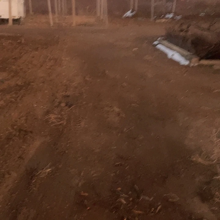 锦***卫巨无霸一物一拍树枝
