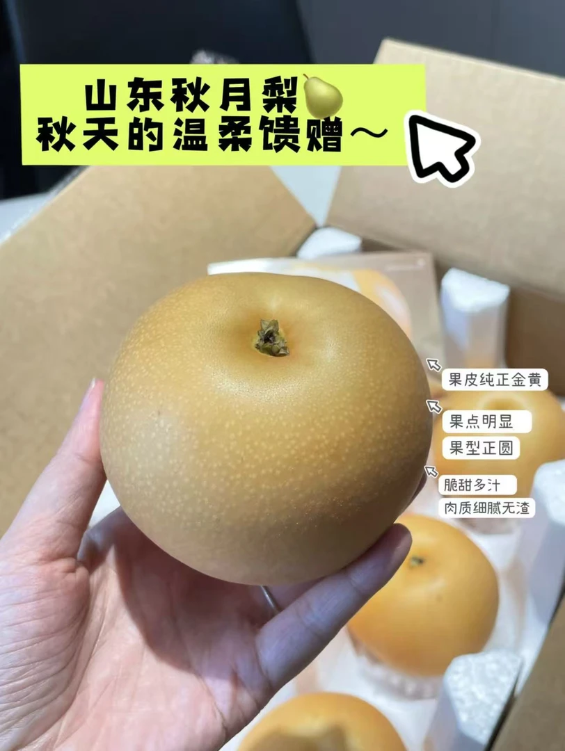 正宗秋月梨新鲜脆甜多汁应季水果皮薄核小