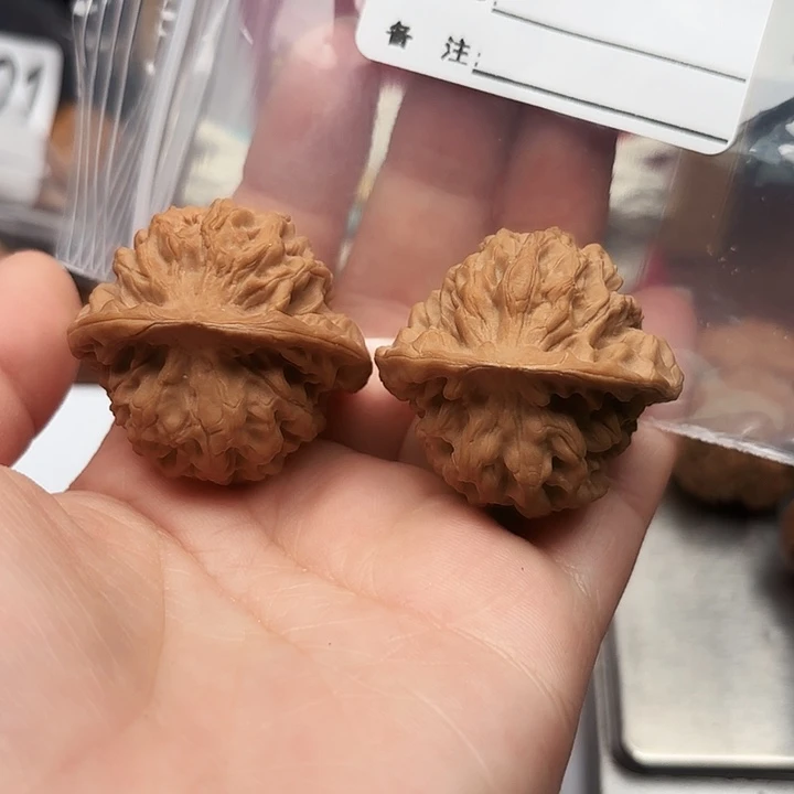 木质37尺全品老树秦闷B017