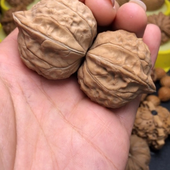 初***春核桃手串/手链龟甲文