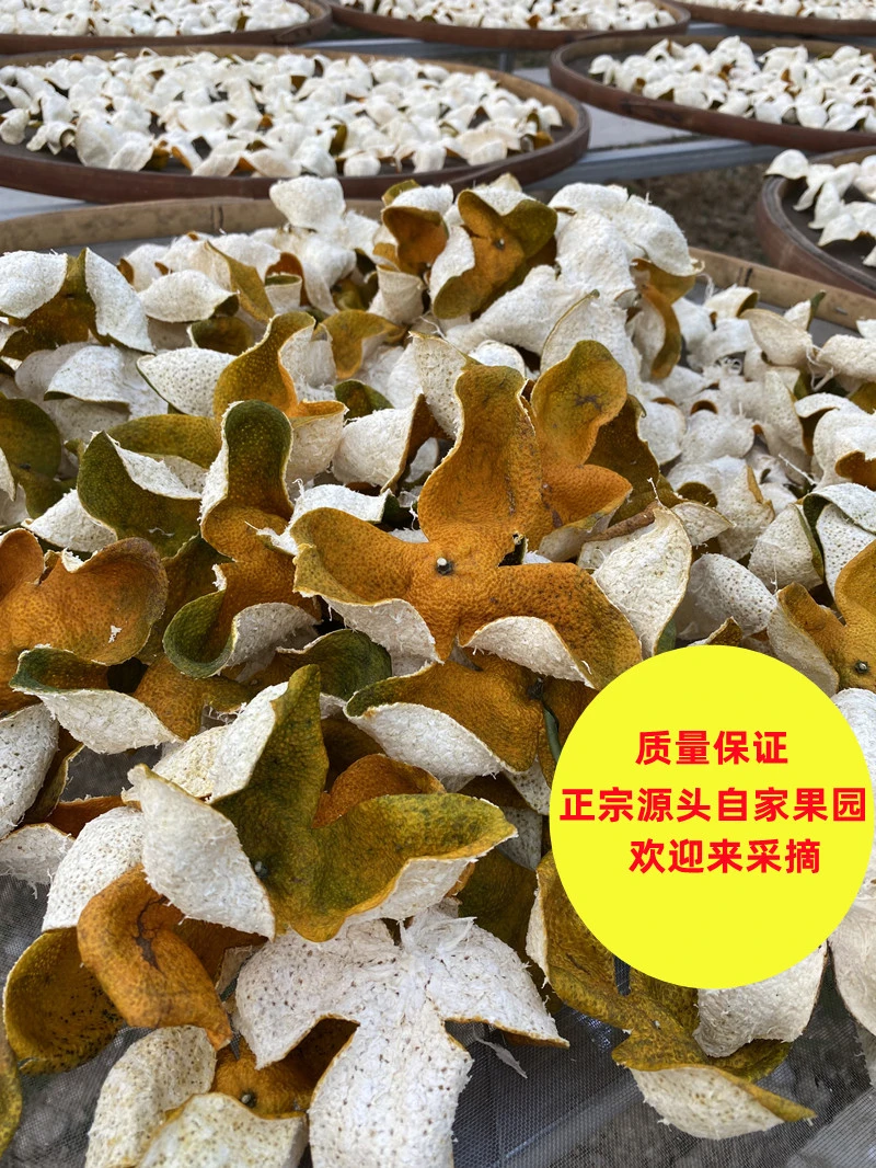 2025年正宗天马圈枝二红皮新会陈皮干特产源头自家果园