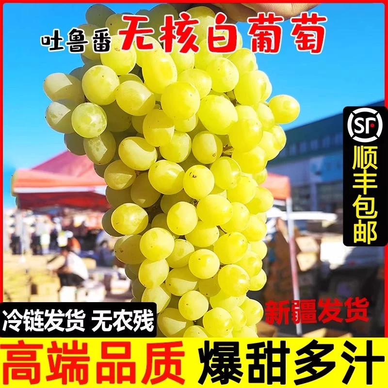 【现货速发】新疆无核白葡萄新鲜无籽露应当季水果吐鲁番马奶提青提