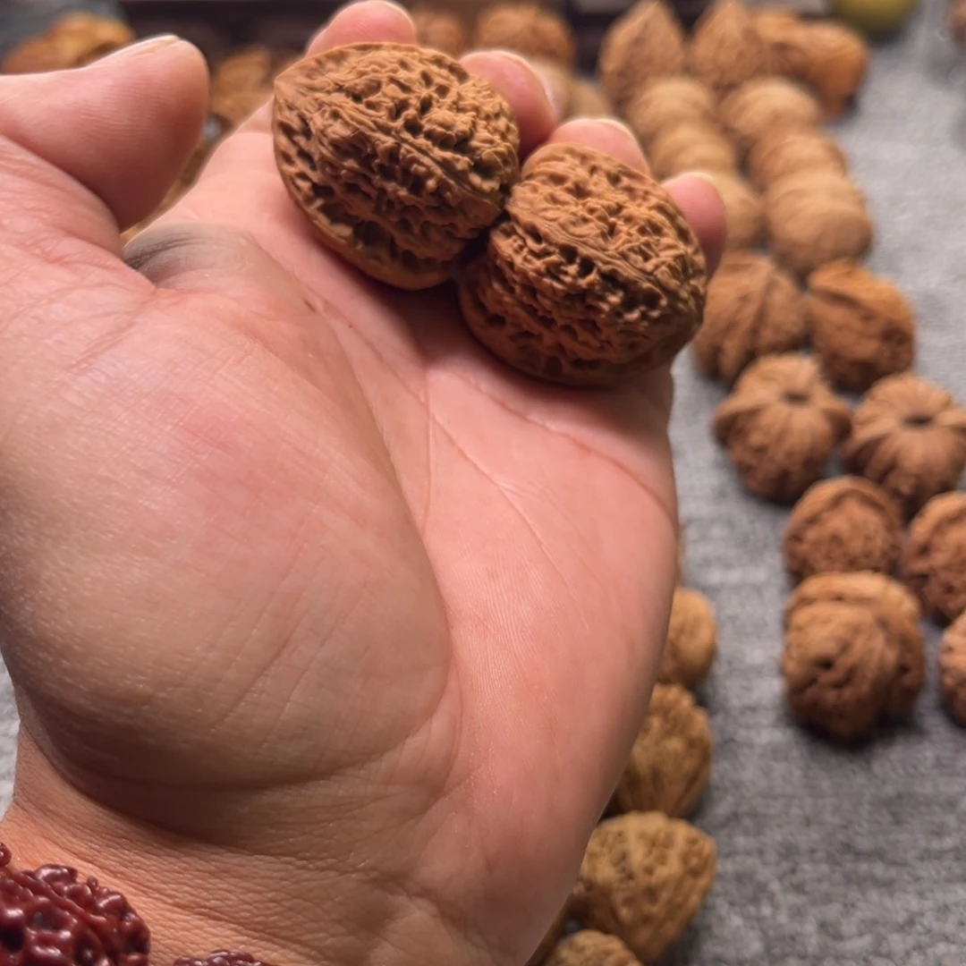 把件文玩核桃逐鹿南疆三角