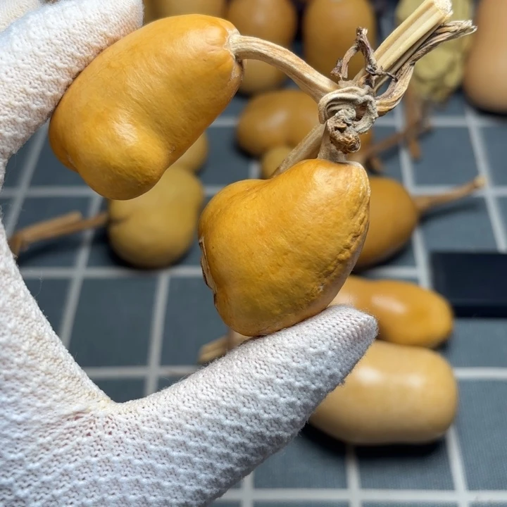 晴***鹤坑6666666666666666