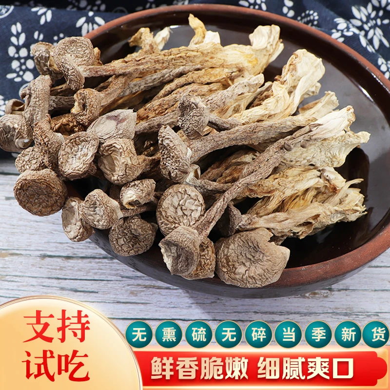 鹿茸菇干货云南特产农家小炒炖汤煲鸡汤鲜美营养美味无熏硫无碎