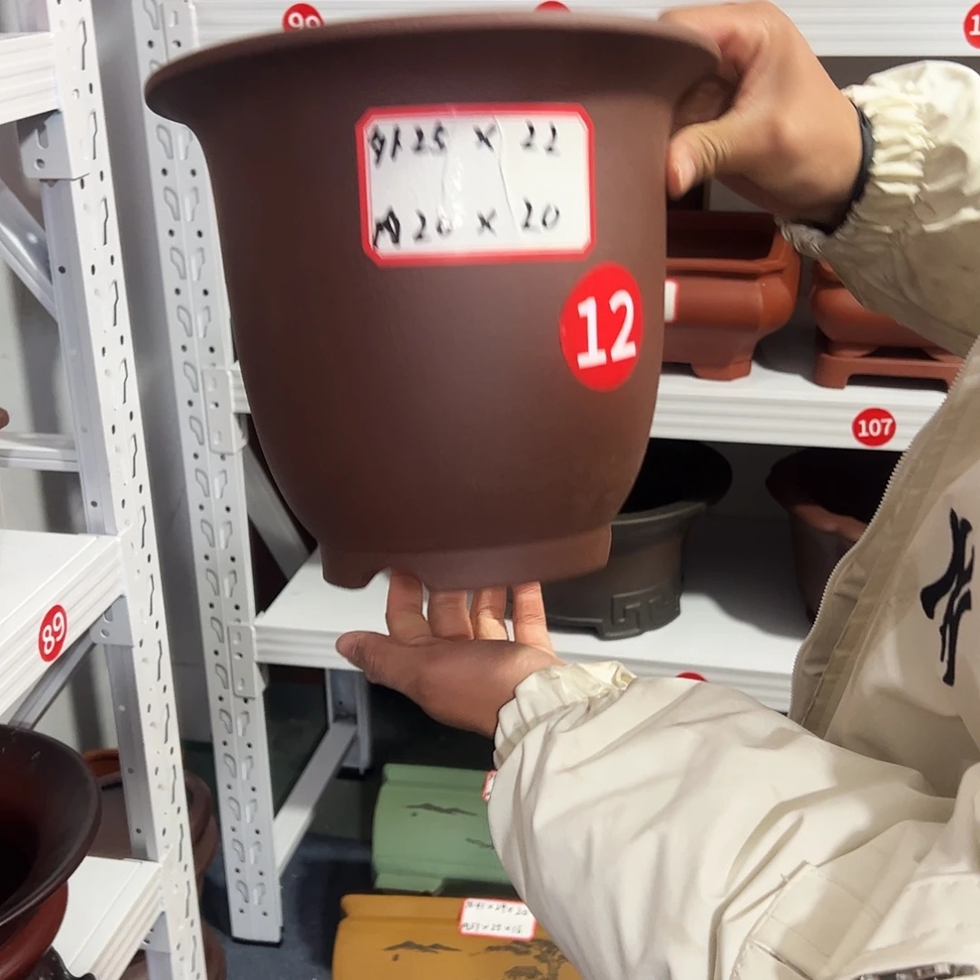 紫砂其他紫砂花盆