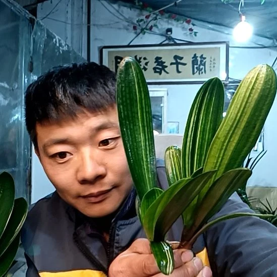 @3691对35元！！！！！！！