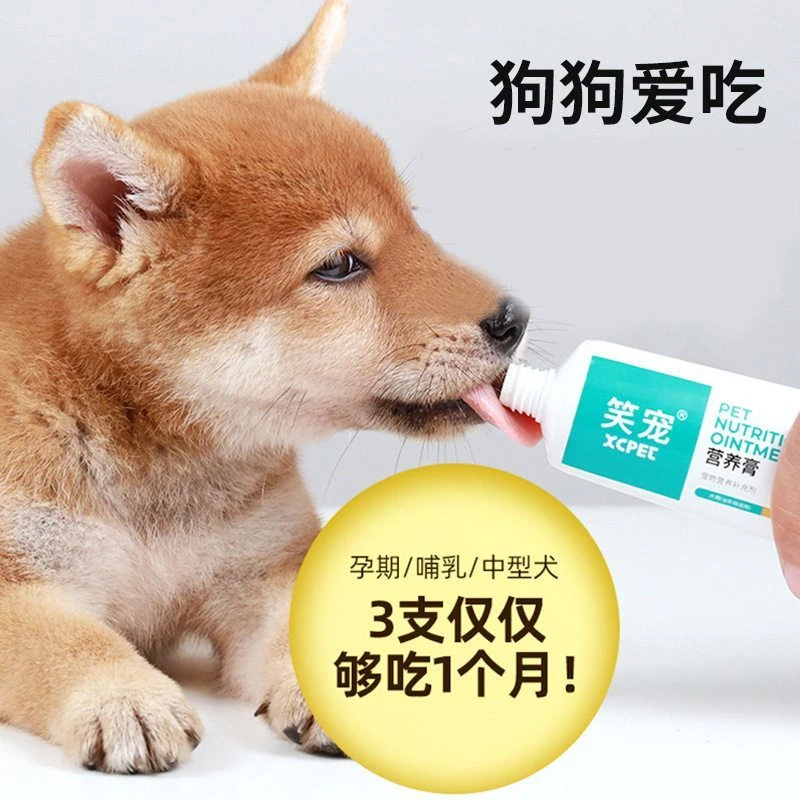 笑宠宠物营养膏批发狗狗专用营养补充剂宠物保健品代发术后调理