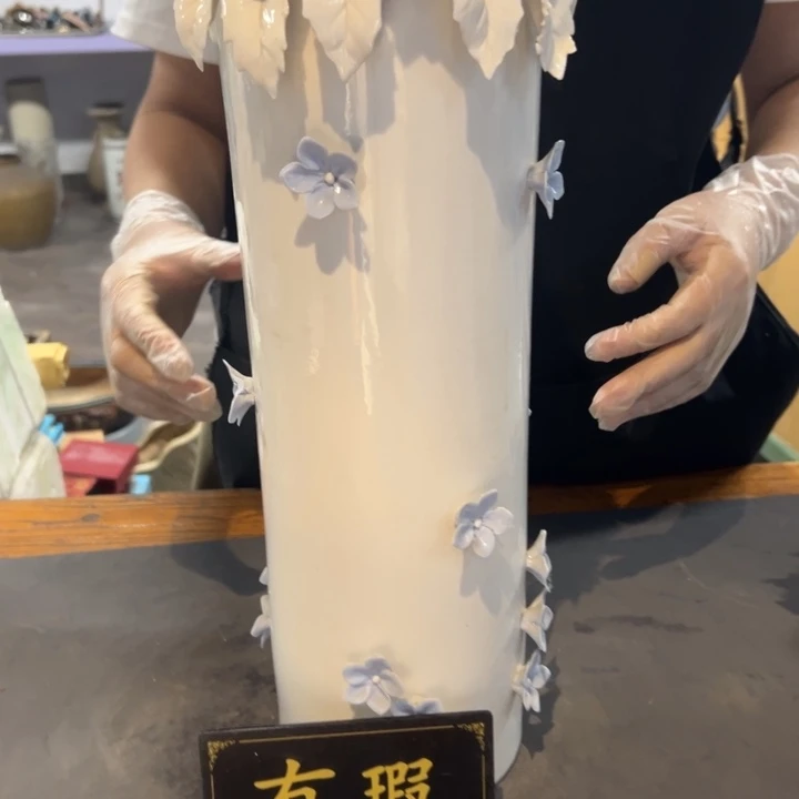 陶***陶瓷片拾六家的瓷器瓷器
