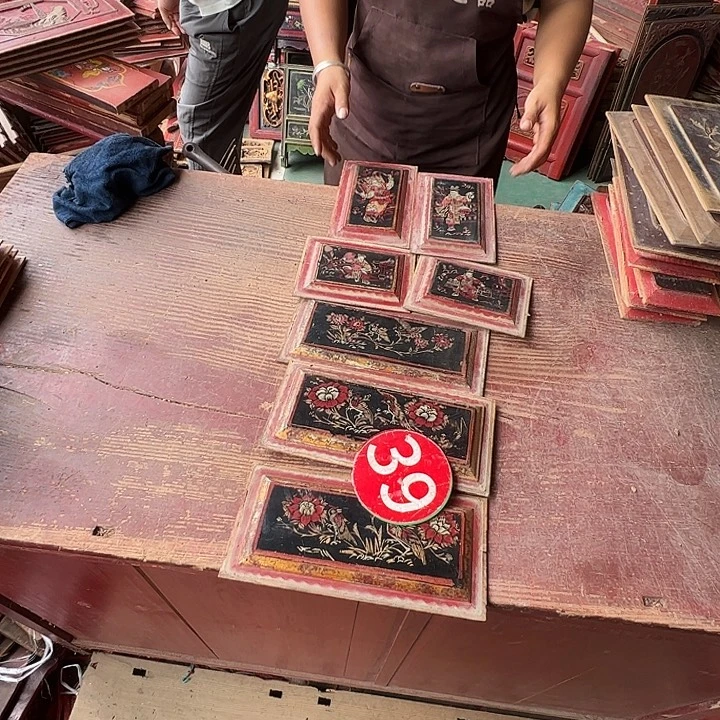 凤***仑擦擦擦擦擦擦擦擦擦啊