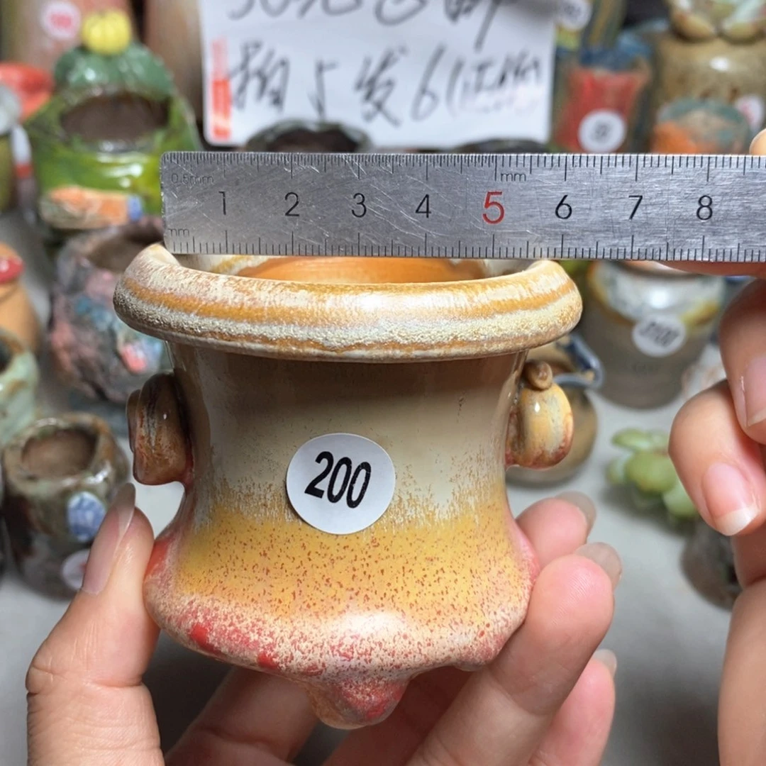 拍5送一个小礼物