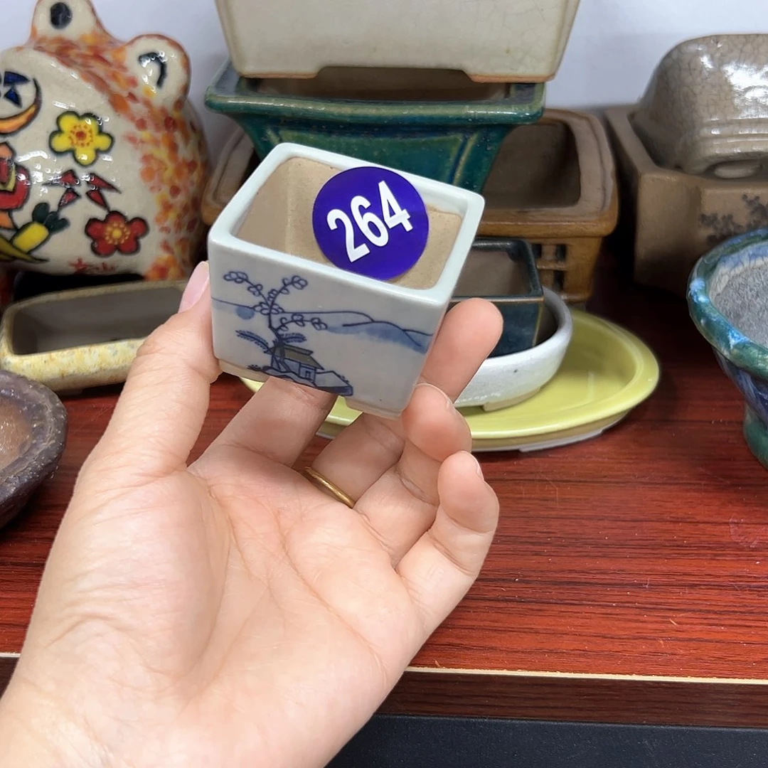 R****1红红火火过大年264