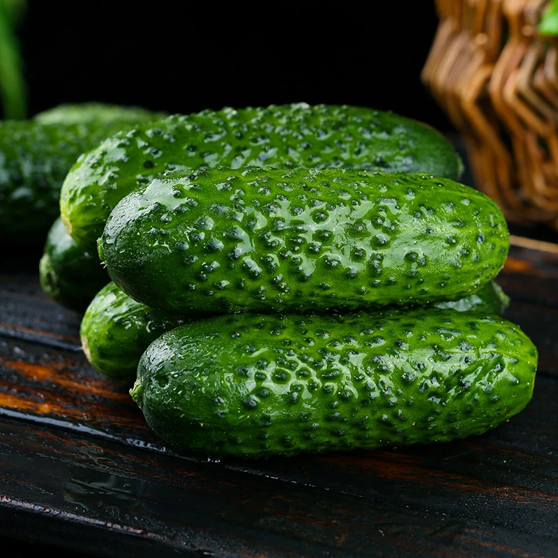 新鲜玛莎水果黄瓜净重4.5-5斤山东产地现摘拇指迷你黄瓜