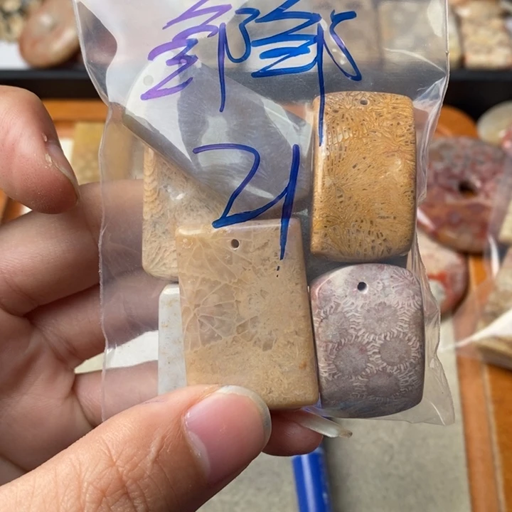 硅化玉颈饰足金镶嵌邹*