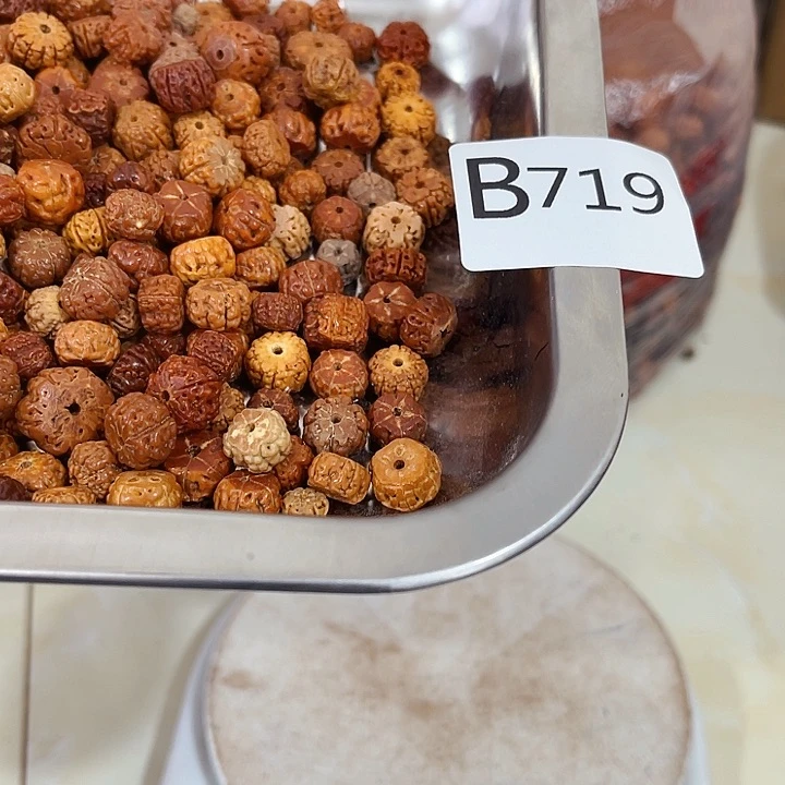 大果紫檀（缅甸花梨）719