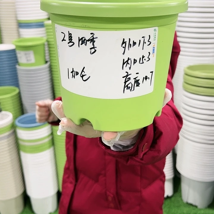 特价2号四季口17高14白色带托10只