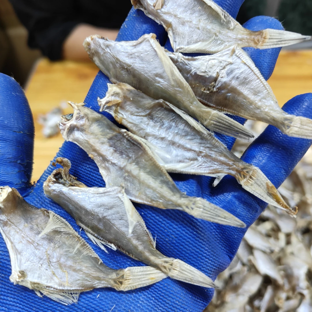 广东汕尾本港新鲜淡晒天然风干剥皮鱼干迪仔鱼干马面鱼干海鱼干货