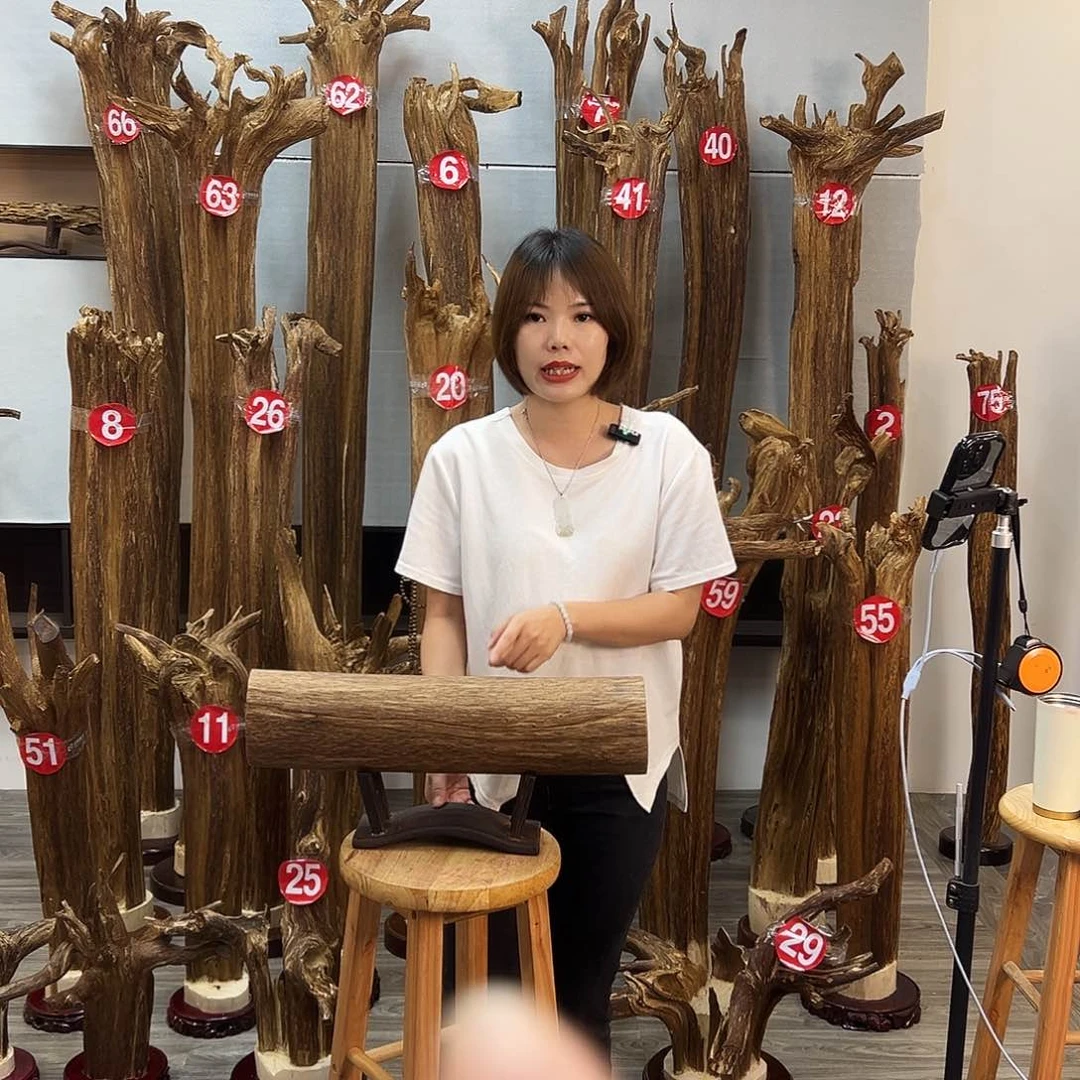 摆件沉香沉香摆件