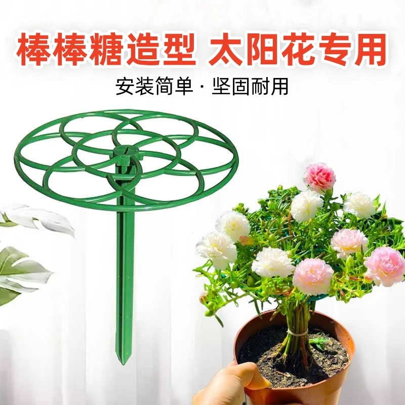 太阳花盆景造型支架棒棒糖花架阳台植物防倒伏收拢架爬藤支撑杆