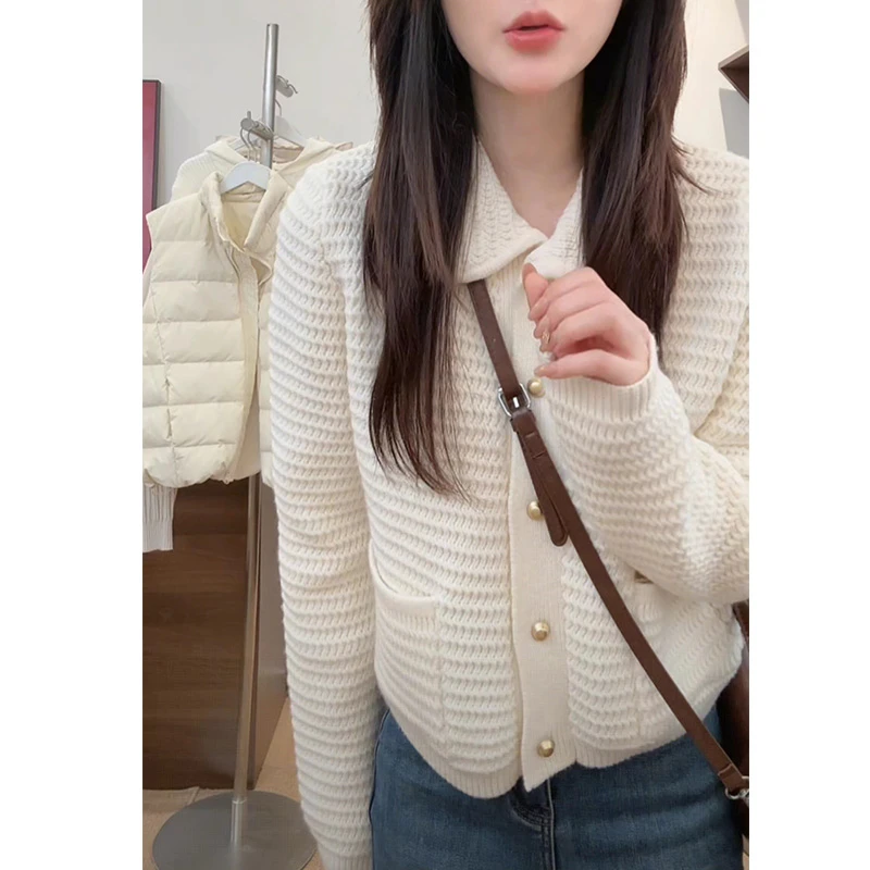 慵懒风温柔气质短款翻领针织衫女秋冬新款设计感遮肉显瘦百搭毛衣