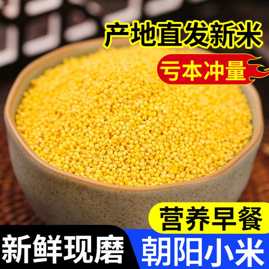 东北朝阳特产黄小米新鲜正宗农家新米熬粥米油丰富食用杂粮