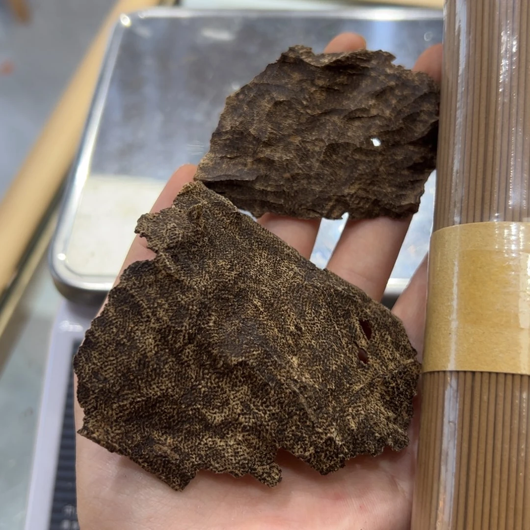 海南保亭沉水浮老包壳5克