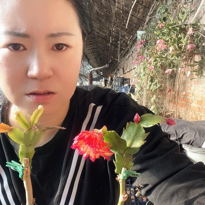 山*028-083 两个1-2