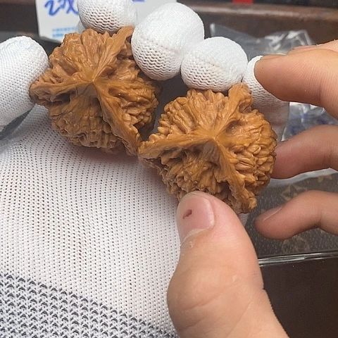 胡*官帽111111111111111