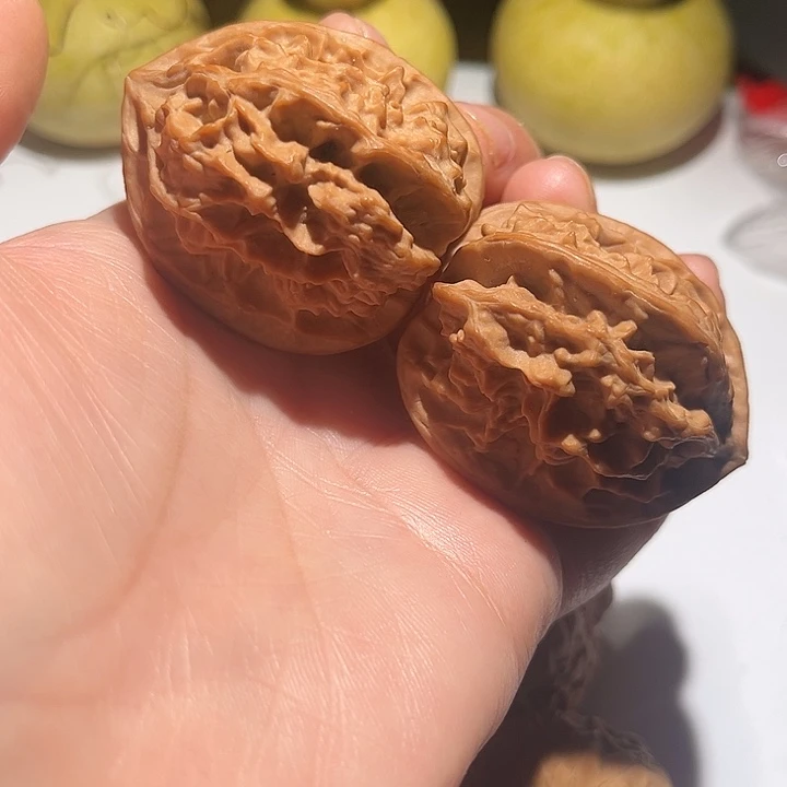 吊坠龙脊菩提龙骨