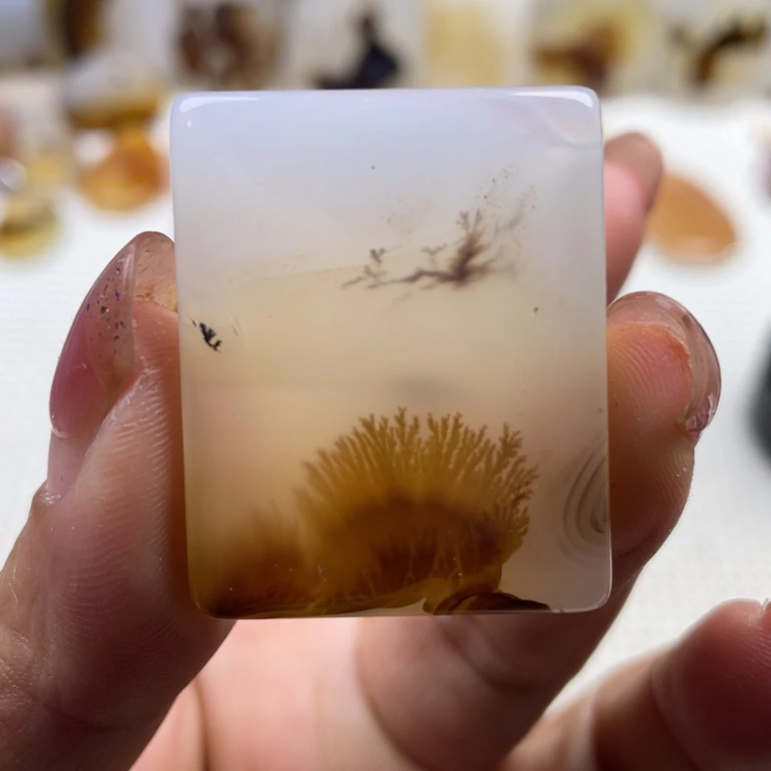 玛瑙/玉髓未镶嵌颈饰