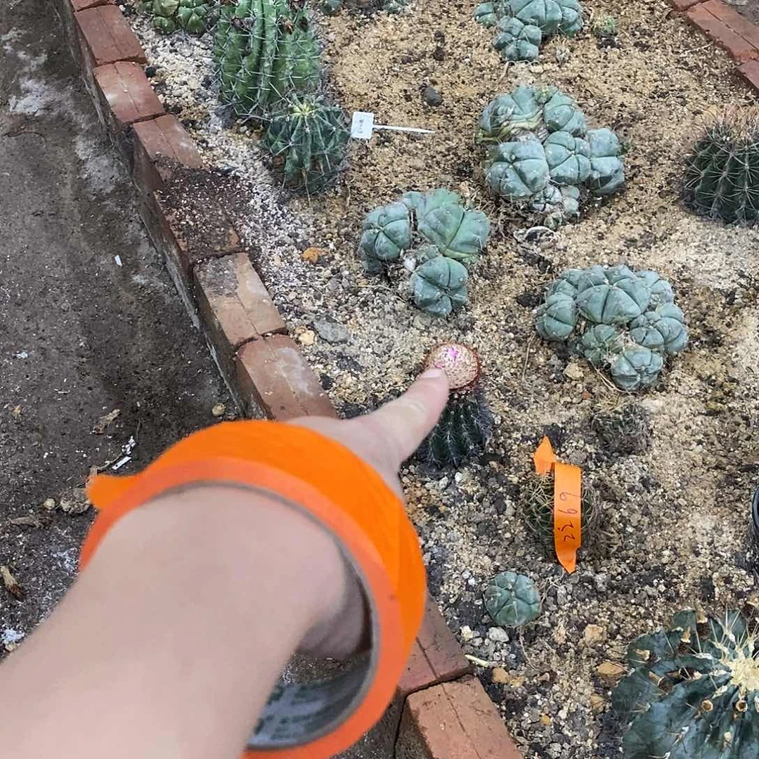 【***】0000000000000000000