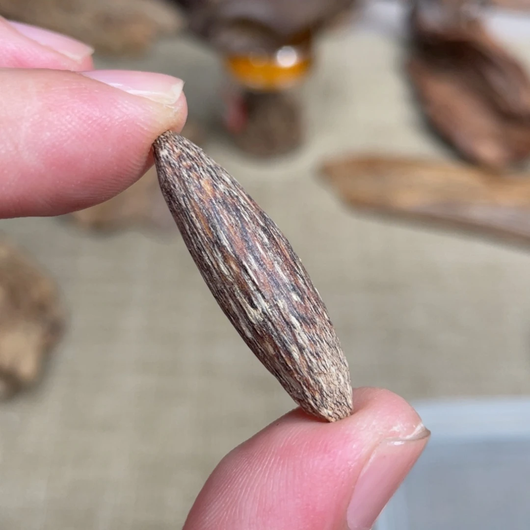 沉香天然野海南瓜子沉香