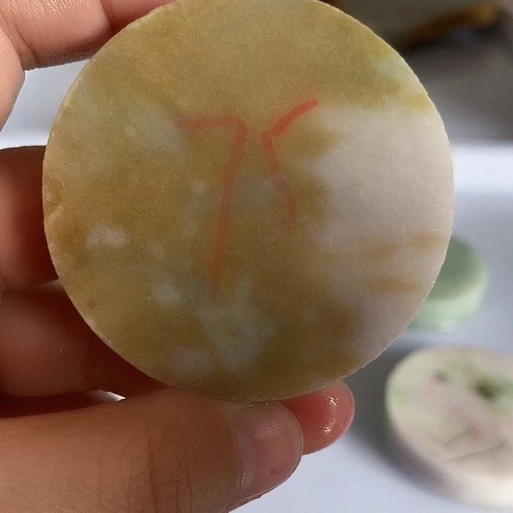 翡翠颈饰未镶嵌毛料37