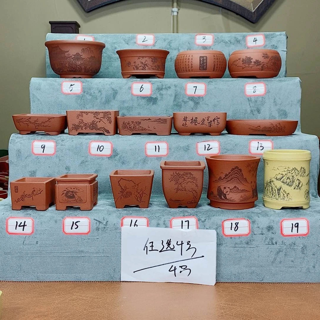 紫砂花盆我在看书