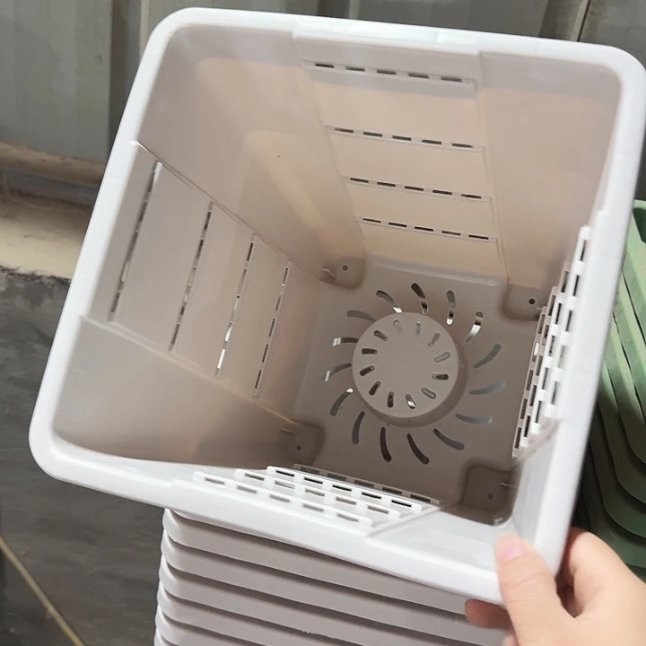 方26口径5个无托灰白