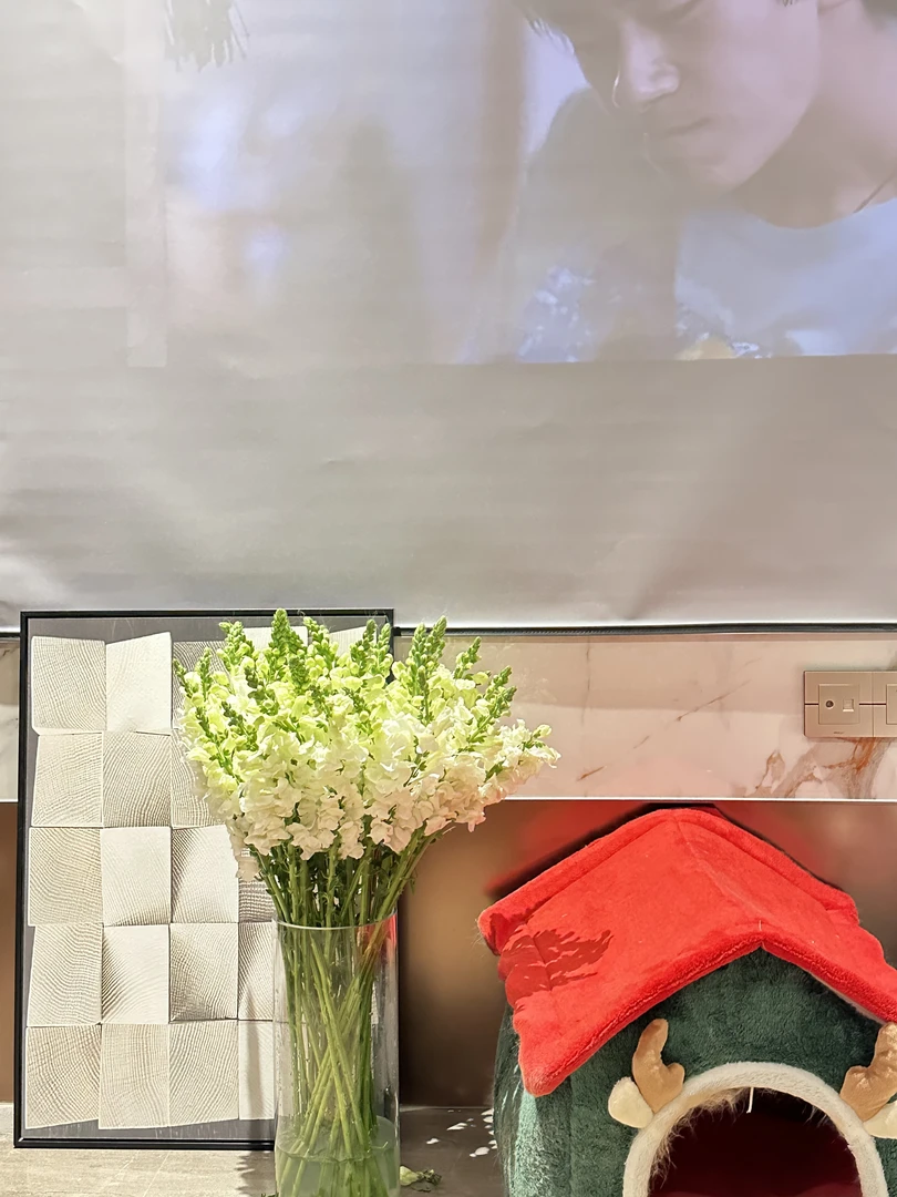 【香氛金鱼草】到手10支！客厅C位！