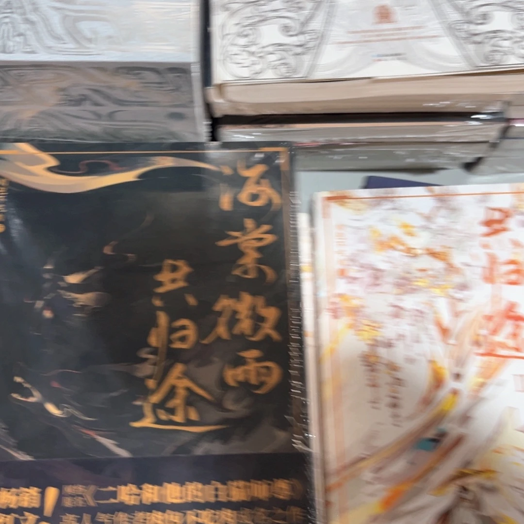 海棠微雨共归途新书全套福利