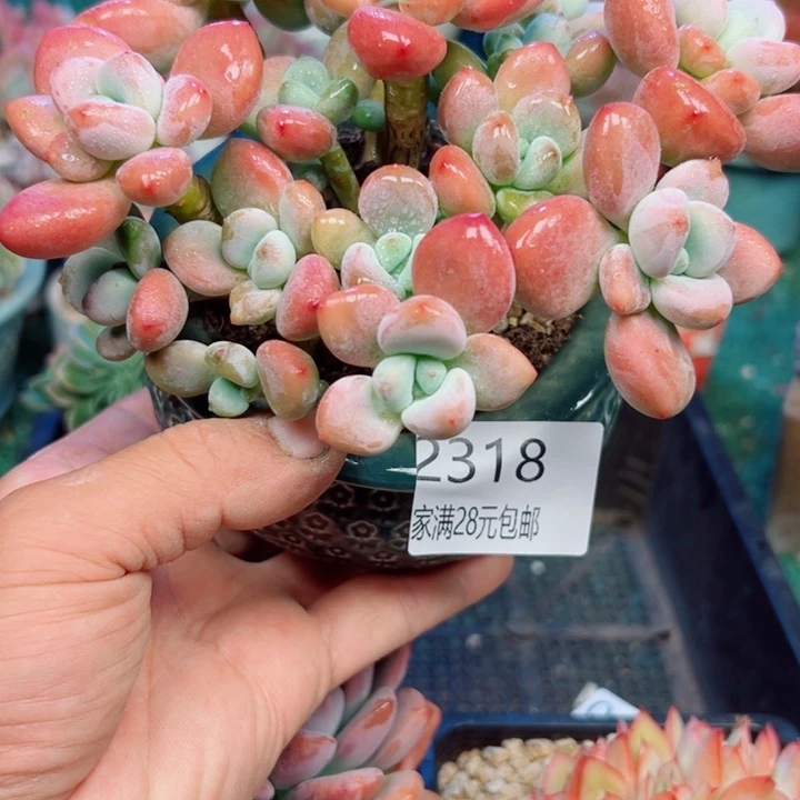 幸运的是我还没遇到过