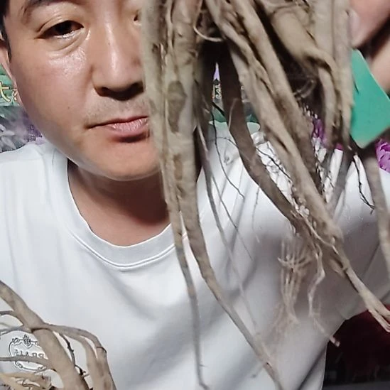 放漏放漏放漏放漏放漏放漏