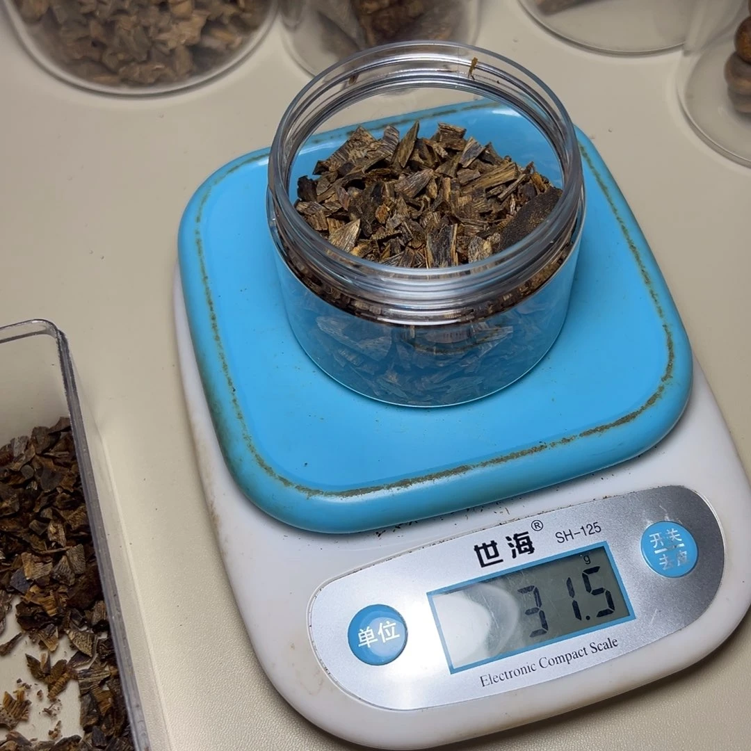 树脂制品金*海南张勺子树30克